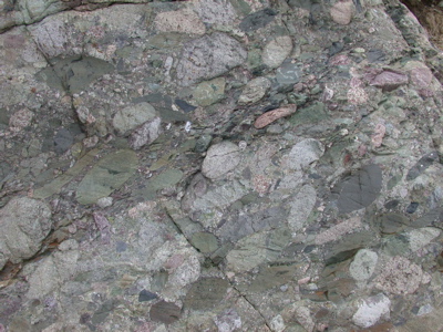 conglomerate pic from Gealogy of Boston