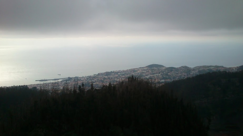 Vista