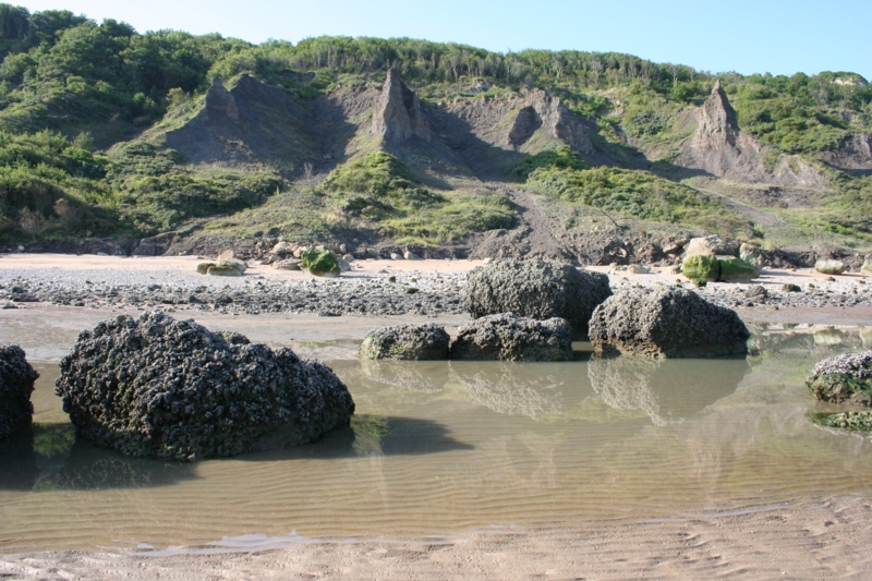 les falaises