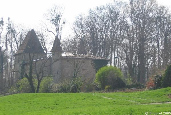 Chateau du Vellein