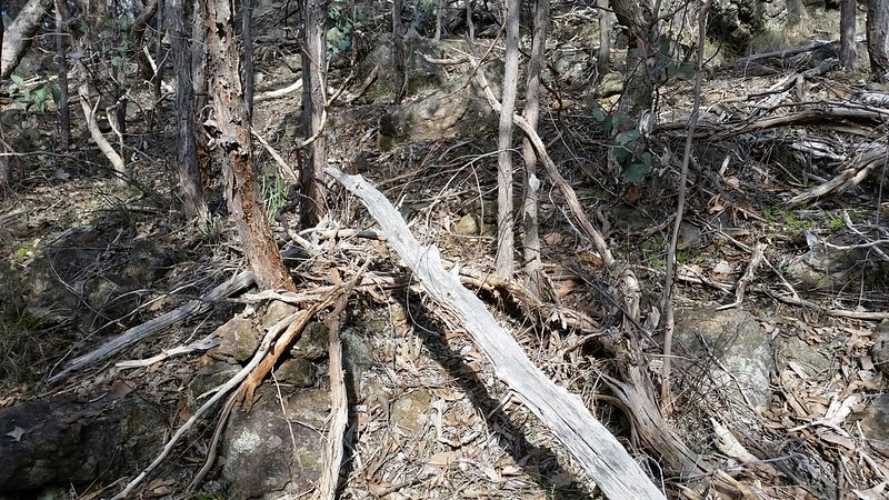 GC6JGW9 MVB Eagle Rock (Traditional Cache) in Victoria, Australia ...