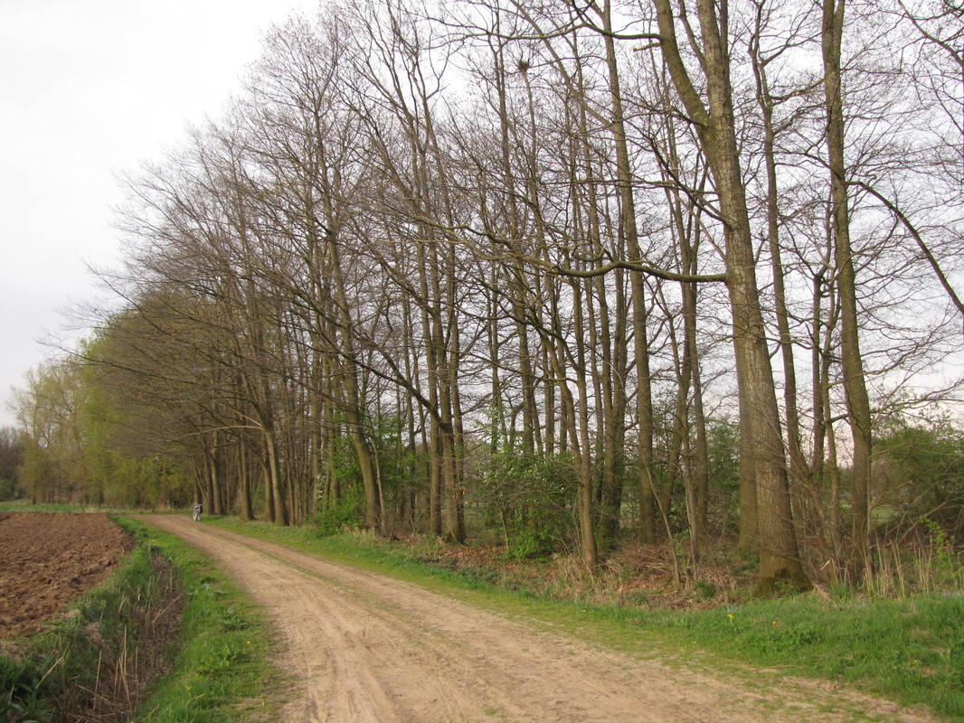 Geocache - Rondje Enter #1 - Klein bos