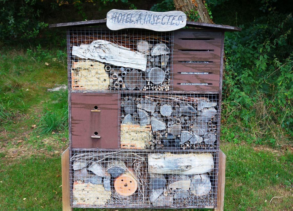 Lac de Christus, Saint-Paul-les-Dax ( Landes 40 ) AA