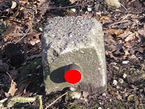 Welche Zahl befindet sich auf diesem Stein?