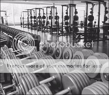 weights Pictures, Images and Photos