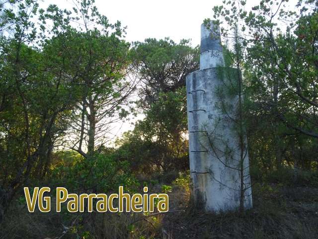 VG Parracheira