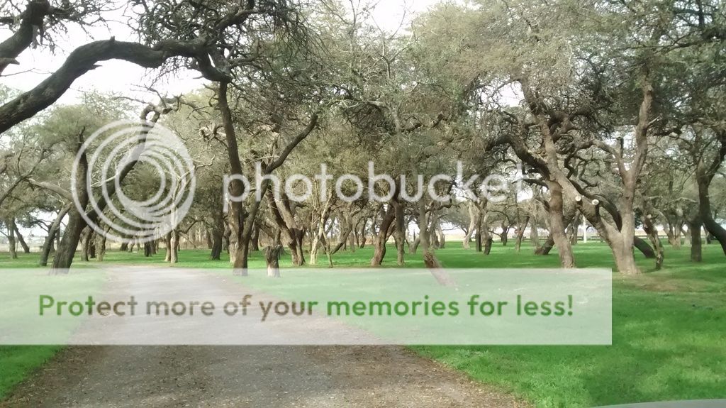  photo IMG_20170714_141941986_zpsepqtvsgx.jpg