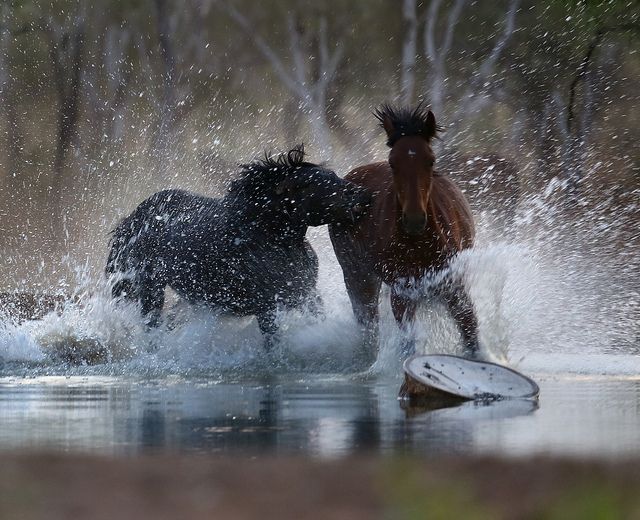  photo 892BB21B-B739-47F4-9097-405476F72F1B_zpsdhz6icol.jpg