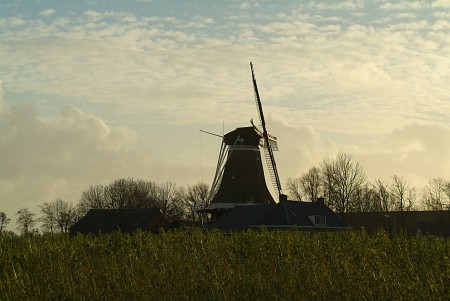 Foto van omgeving Holwerd, gemeente Dongeradeel, provincie Friesland (Fryslân)
