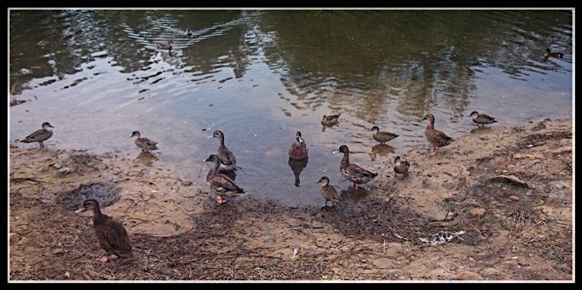  photo image.jpg1_zpsntmvu7yz.jpg