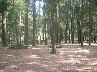 Zona anvolvente