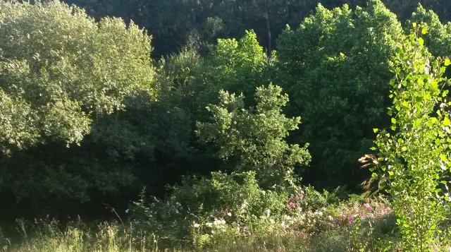 jardim entrada