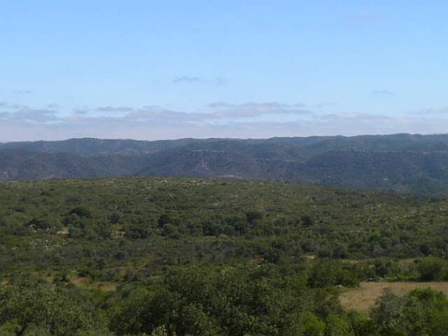 vista2