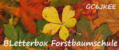 BLetterbox Forstbaumschule