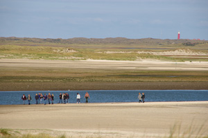 Deslufterendemuy_slufter Deslufterendemuy_slufter