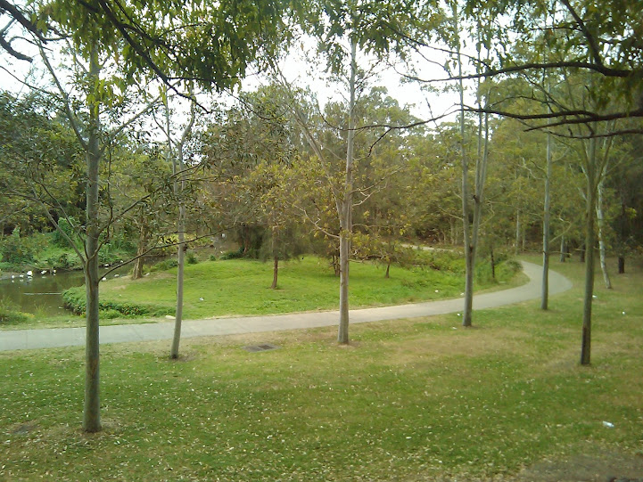 Auburn Park and Duck Creek