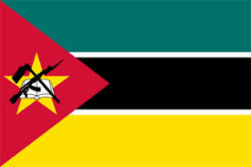 Image result for mozambique flag