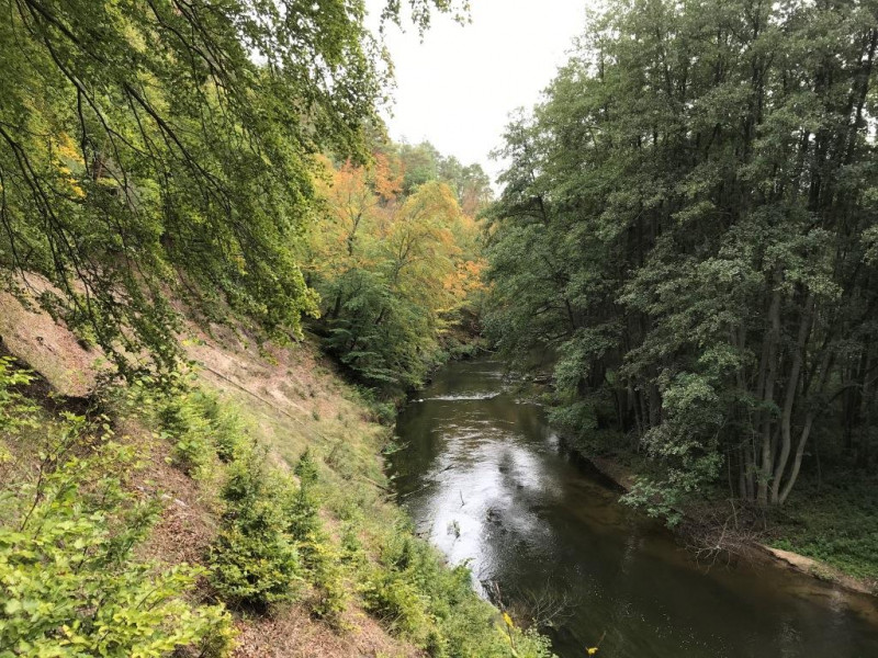 Dolina Drawy, fot. A. Skowronek