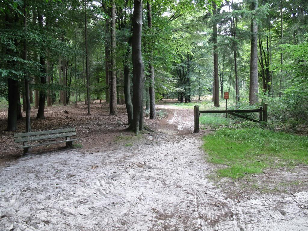 Het mysterie van de verdwenen buit