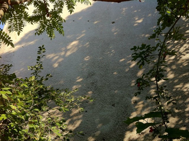 Sciana domu na Miączyńskiej 14