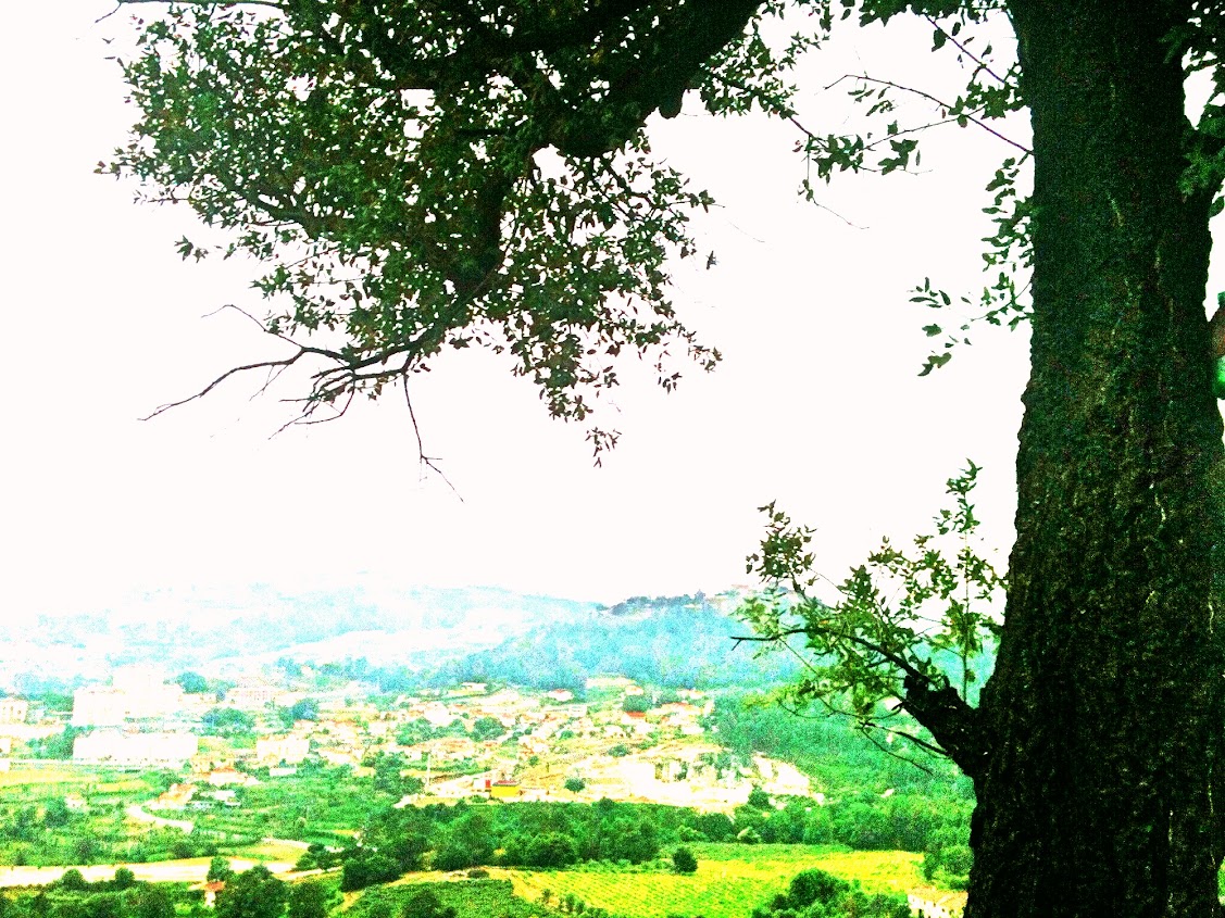 Home hill Home hill