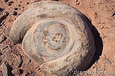 GC610T7 Sur les traces du Stéganosaure (Earthcache) in Île-de-France, France created by dyeu