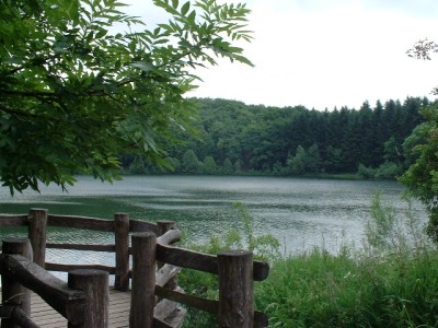 Holzmaar