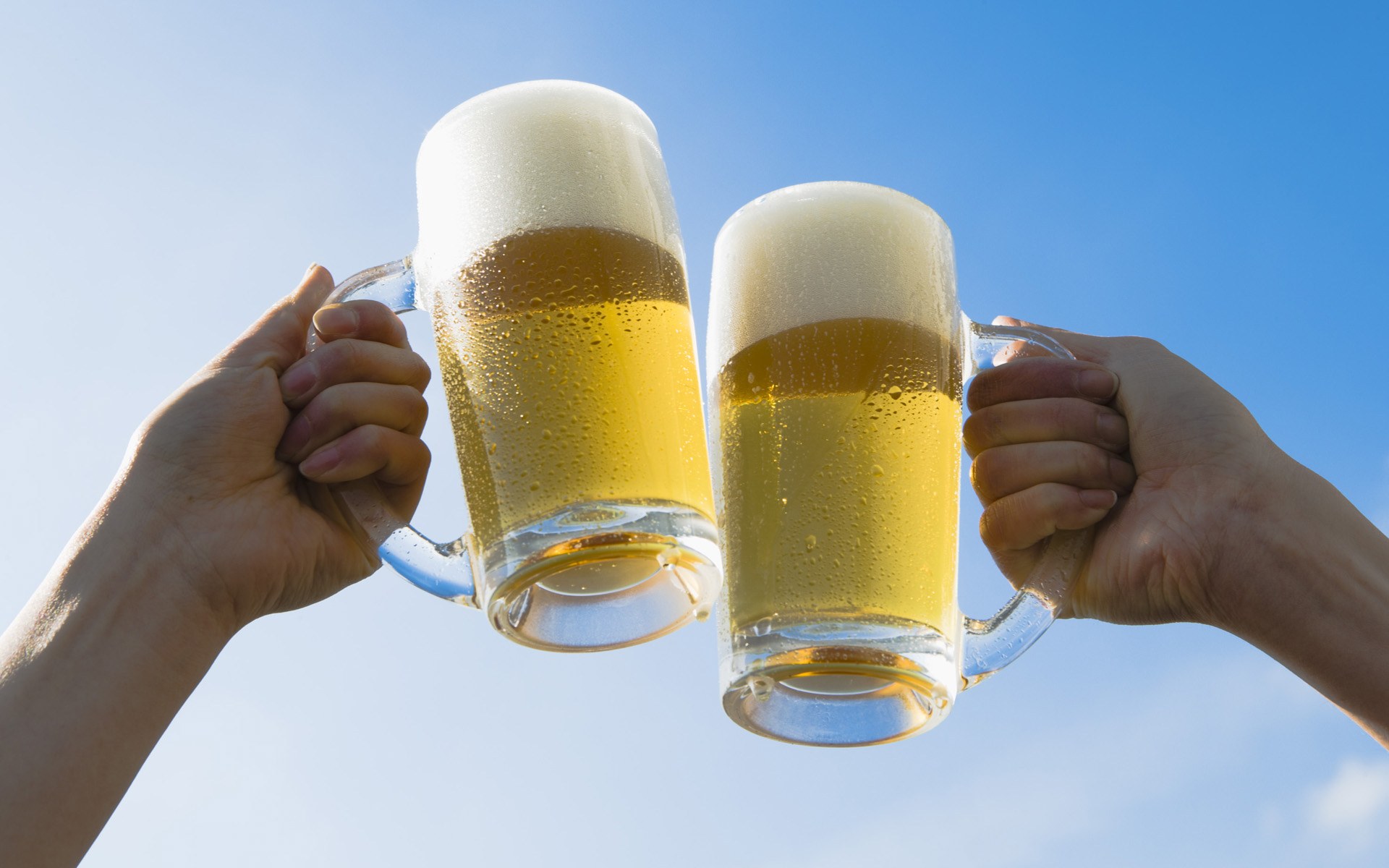 HD Wallpapers HB042 350A People toasting with mugs of beer under blue sky