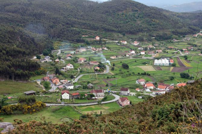 Resultado de imagen de verducido pontevedra