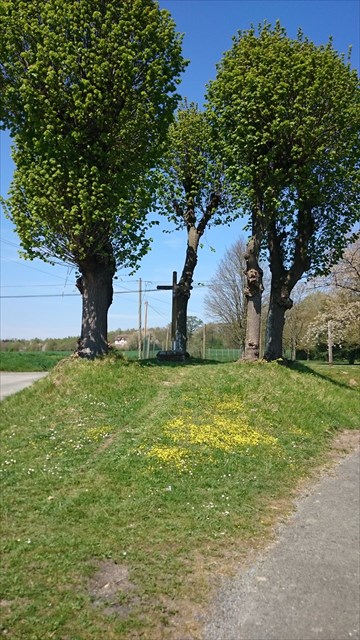Voir