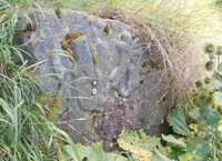 Judith und Holefernes, Andreas Hedrich