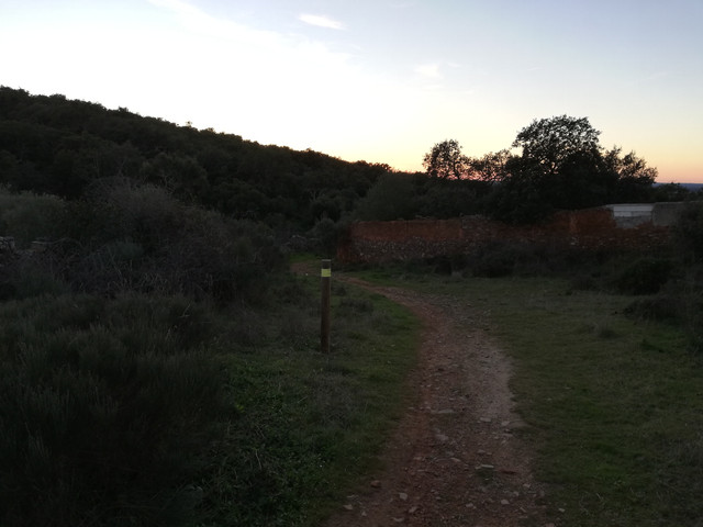 IMG-20190203-184857