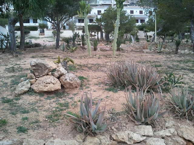 Description: Macintosh HD:Users:evaalosverdu:Desktop:IMG-20150212-WA0028.jpg