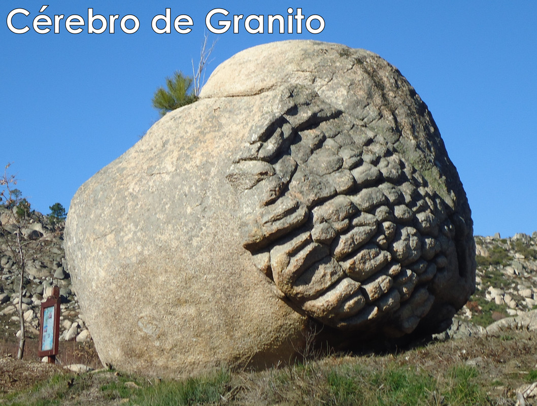 cerebro de granito