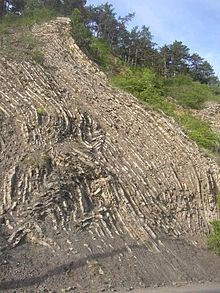 Disharmonicke zvrásnění