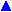 Kék háromszög