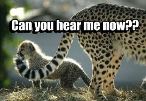 photo 7EF4AA1A-739C-4108-85FC-BED75128625C_zps2teoyb26.jpg