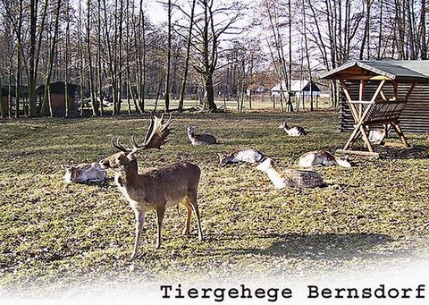 Tiergehege Bernsdorf