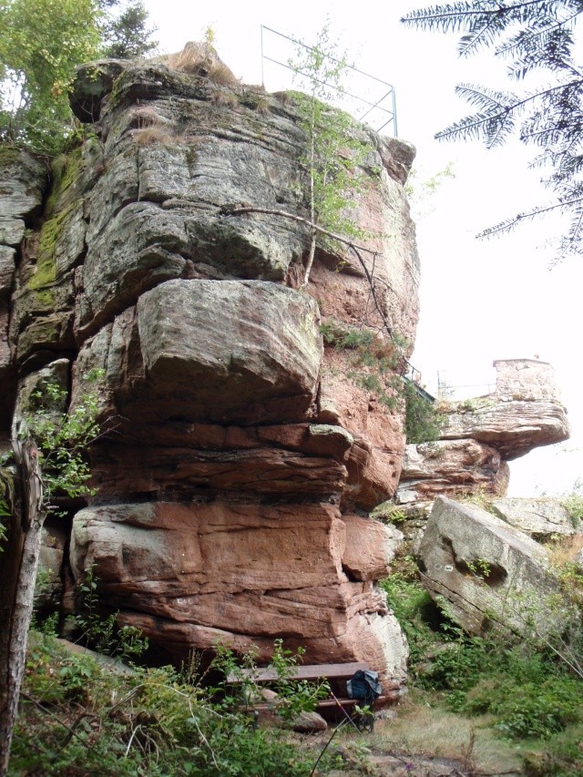 Roche Roche Mére Henry