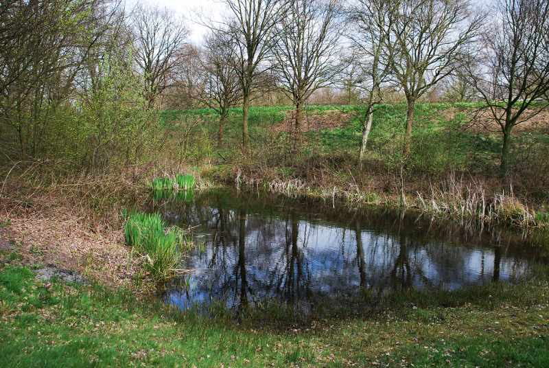 Natuurpark_Waterpoel