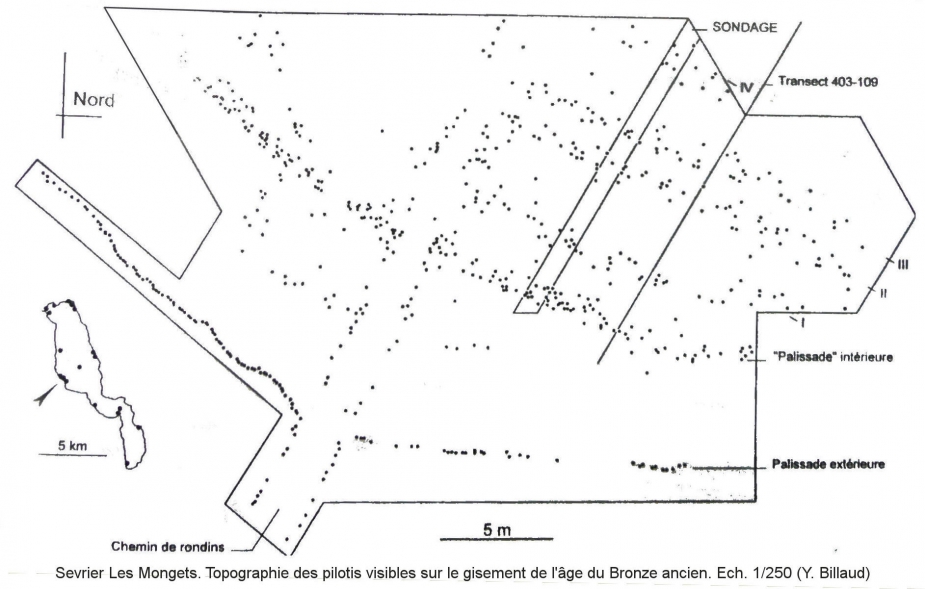 Les Mongets - Topographie des pilotis visibles sur le gisement de l’âge du Bronze ancien.