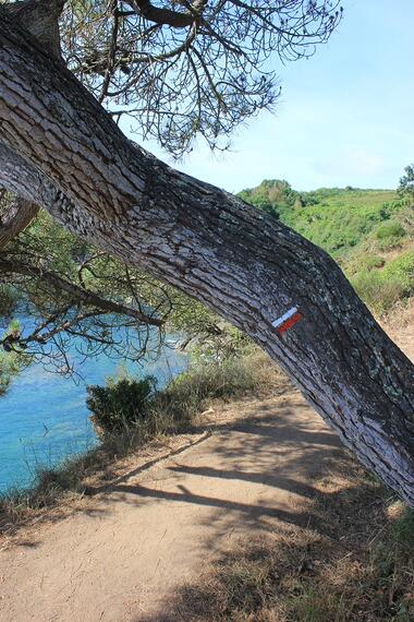 Sentier des Douaniers