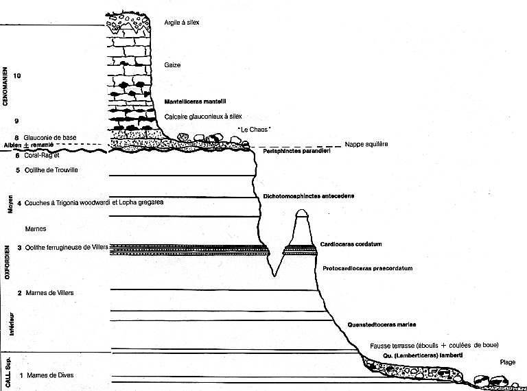 coupe schematique