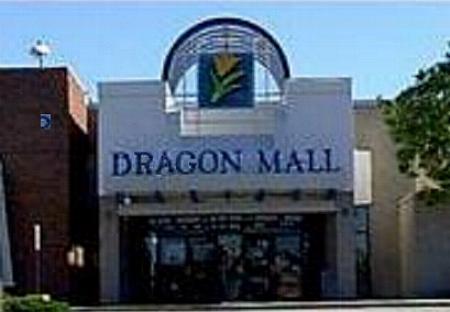 The Dragon Mall