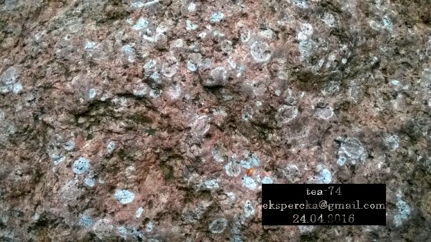 Granitoid rapakiwi z Wysp Alandzkich w Katowicach Murckach