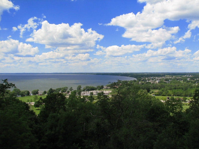 Tower View Tower View