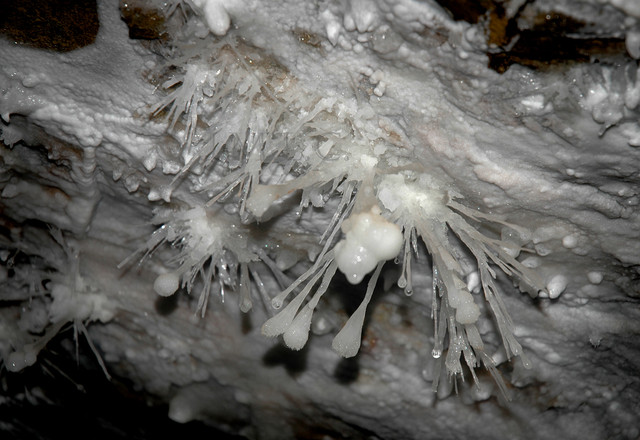cc2