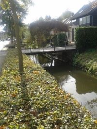  photo 20141018_115408_zps8c65df33.jpg