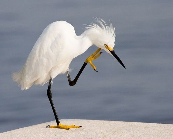 photo A028E53E-442F-433A-A2B7-8AF610F2455C_zpslz33xe2k.jpg