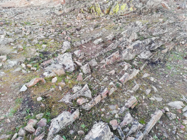 IMG-20190203-184035